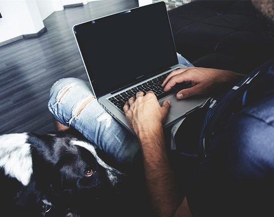 programista na własnej działalności gospodarczej