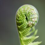 W jaki sposób można rozwijać kompetencje społeczne?